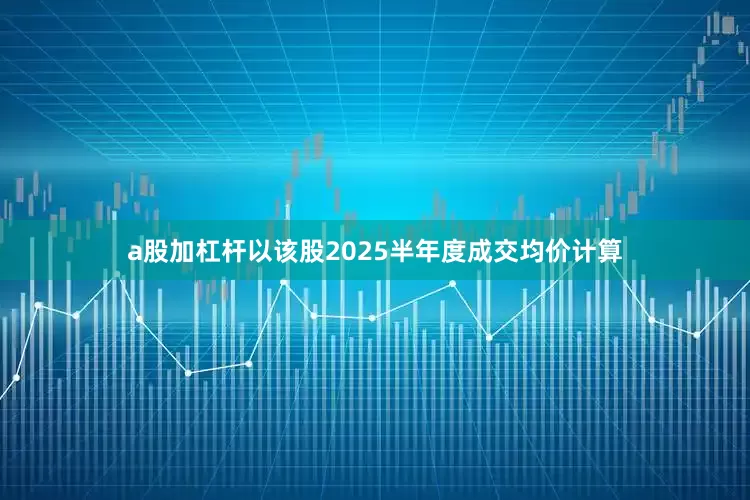 a股加杠杆以该股2025半年度成交均价计算