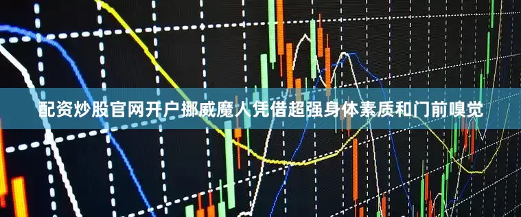配资炒股官网开户挪威魔人凭借超强身体素质和门前嗅觉